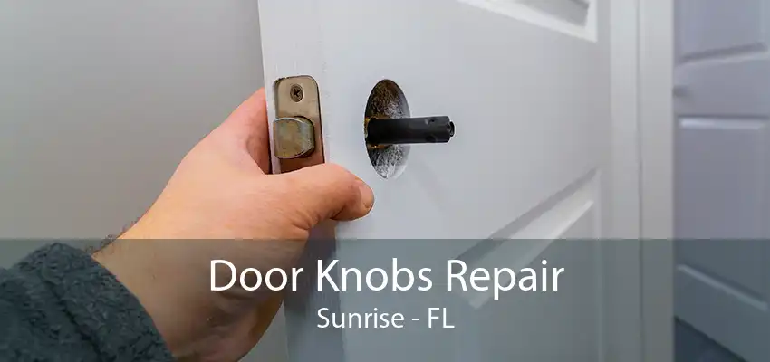 Door Knobs Repair Sunrise - FL